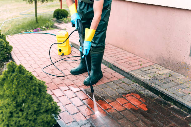 Best Gutter Cleaning  in Pike Creek Valley, DE